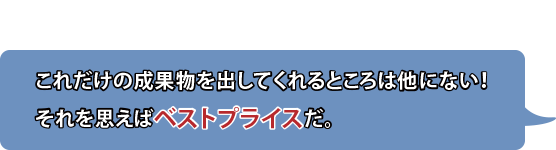 これだけの成果物を出してくれるところは他にない！それを思えばベストプライスだ。